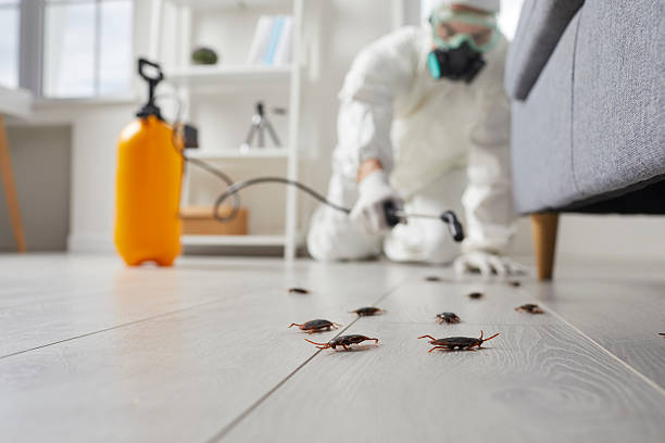 Post-Treatment Bed Bug Interceptor Monitoring in Arnaudville