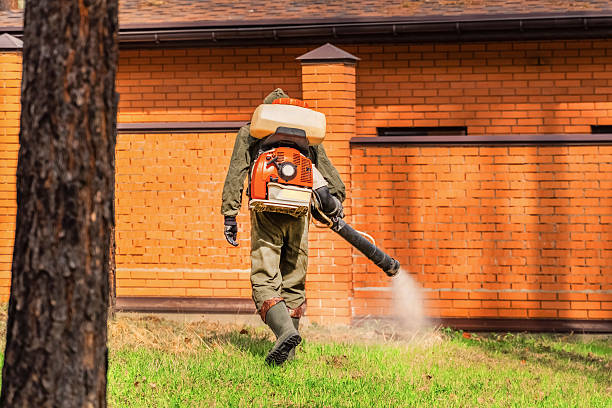 Bed Bug Clearance Verification and Documentation in Arnaudville